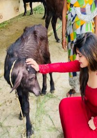 sreeleela_teluguuvox 11